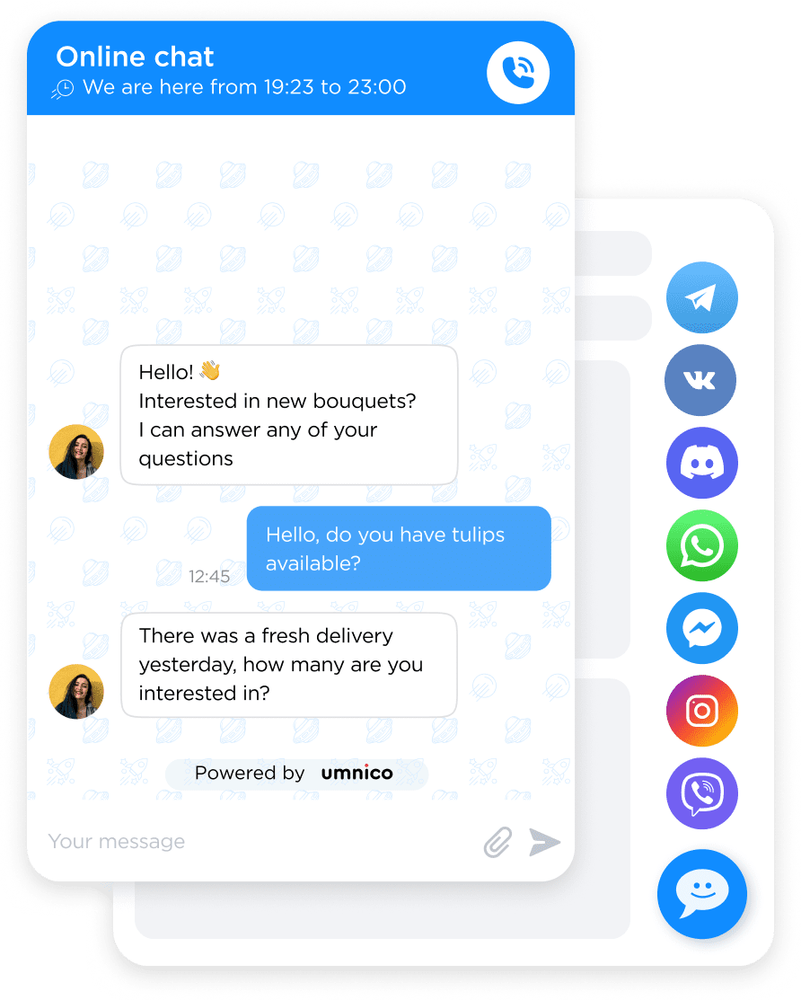 Live chat widget window sample