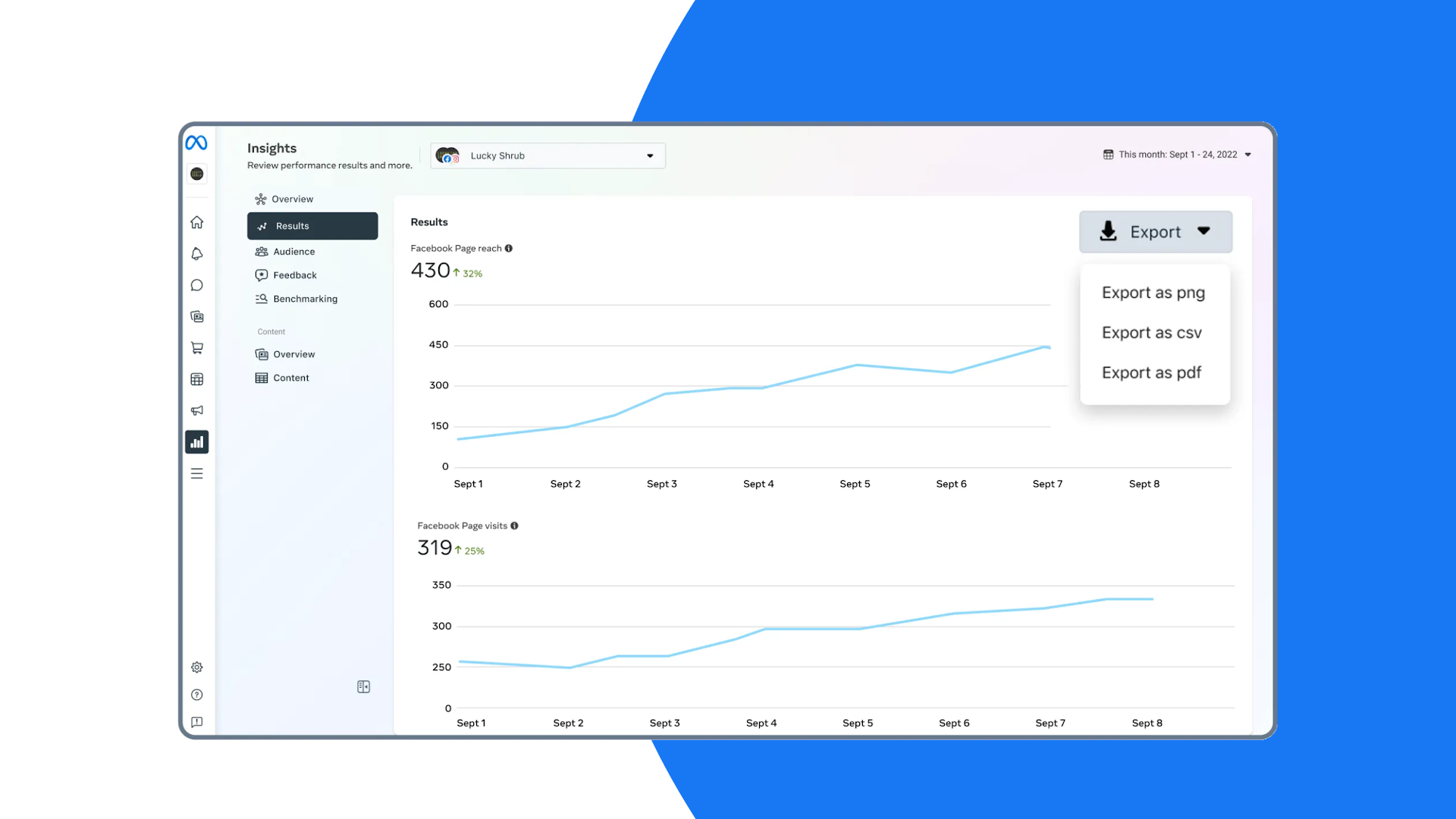 Meta Business Suite Insights